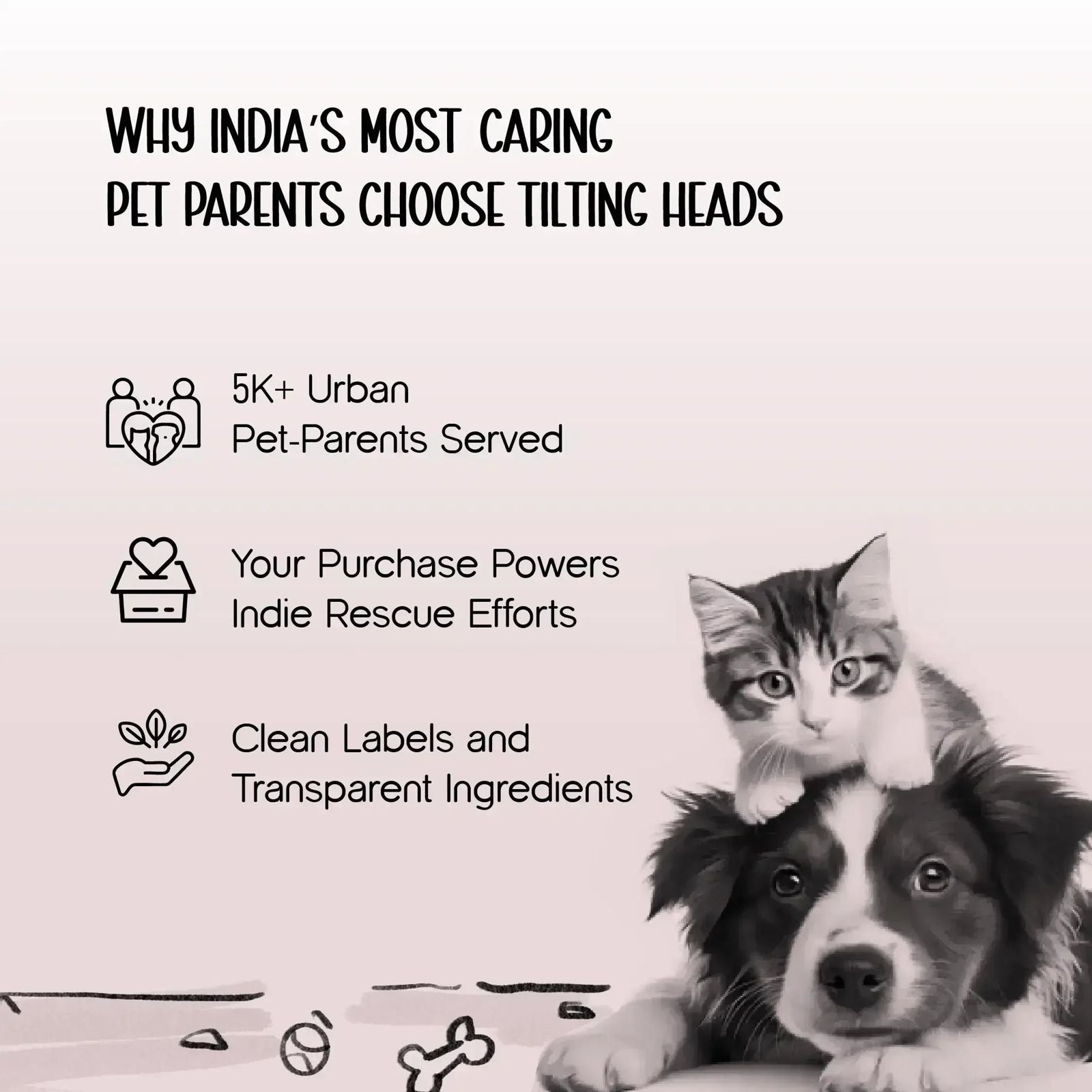 Pet-Furr Mist Brush — Gentle Grooming with Hydrating Mist